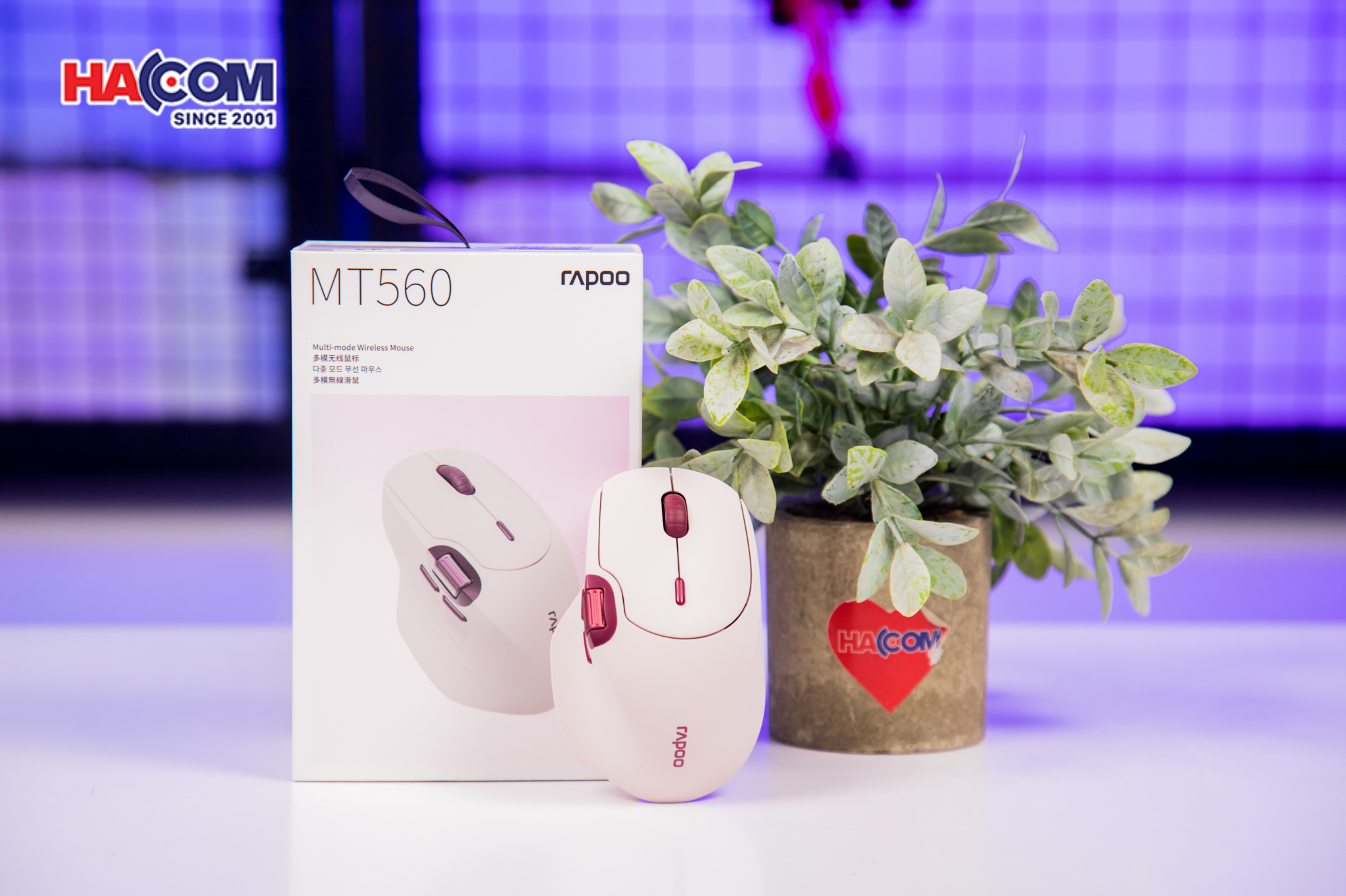 91763_chuot_khong_day_rapoo_mt560_mau_trang_tim_06.JPG 10