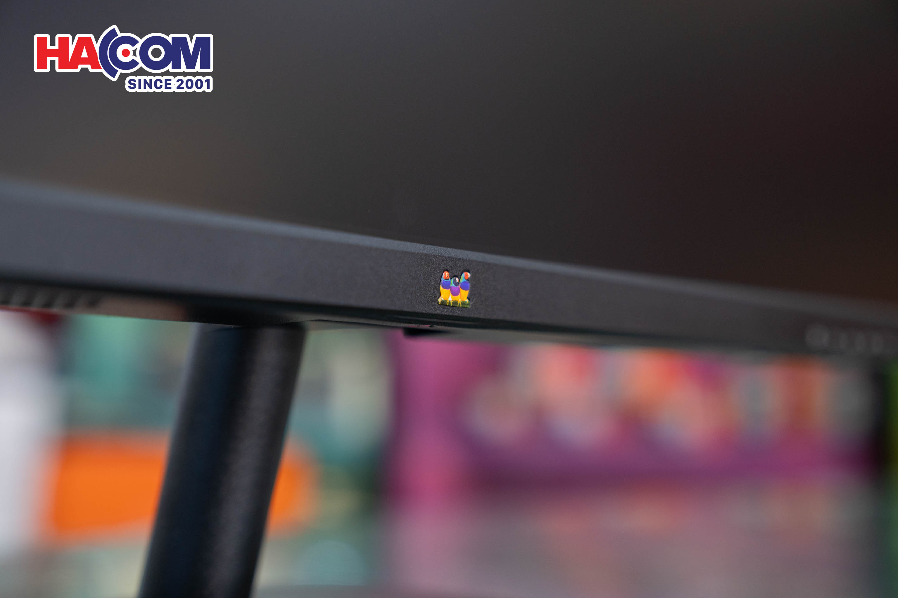 92259_dsc06561.jpg 11