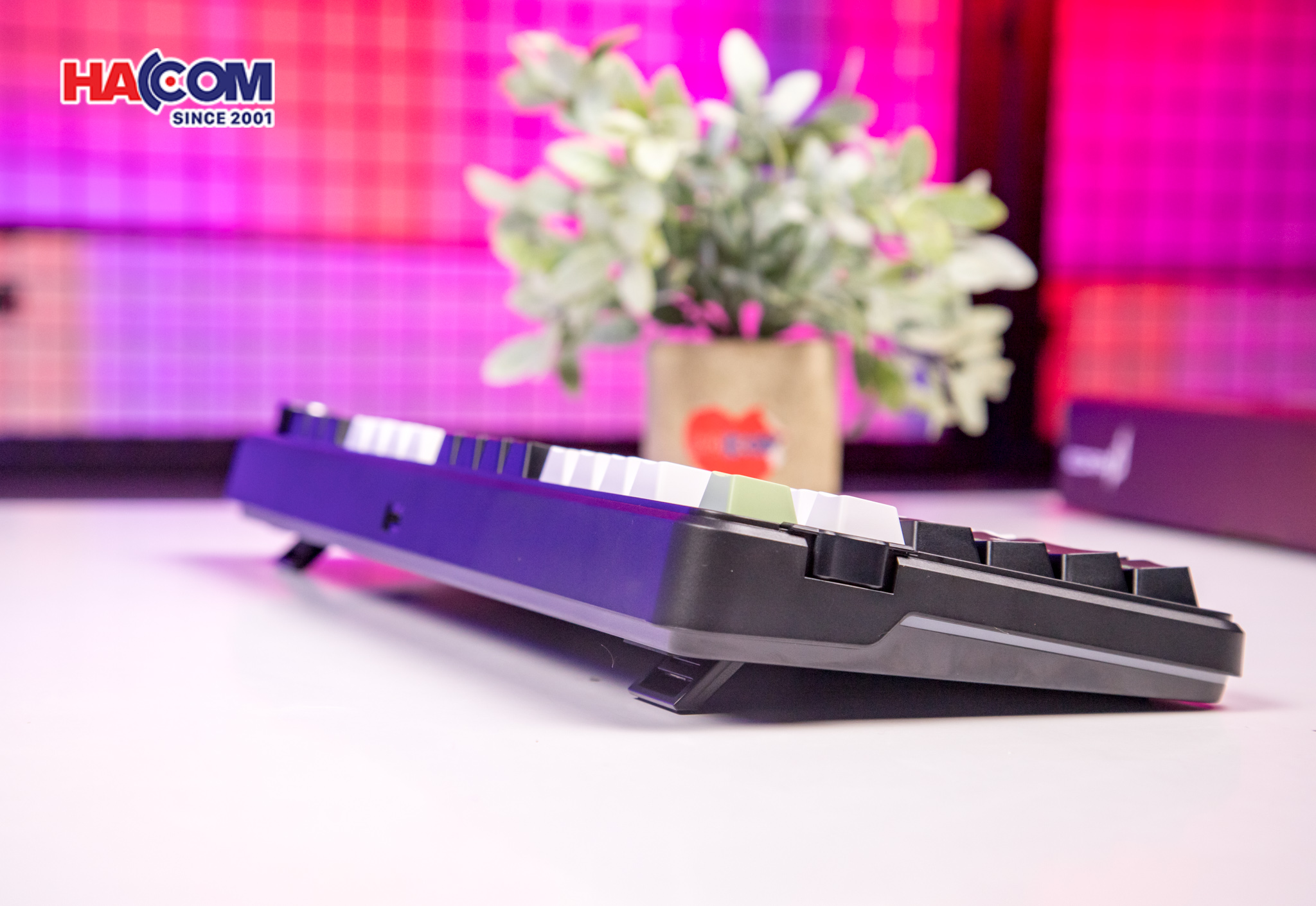 92292_ban_phim_co_edra_ek398w_3_mode_black_white_green_blueberry_linear_switch_09.JPG 11