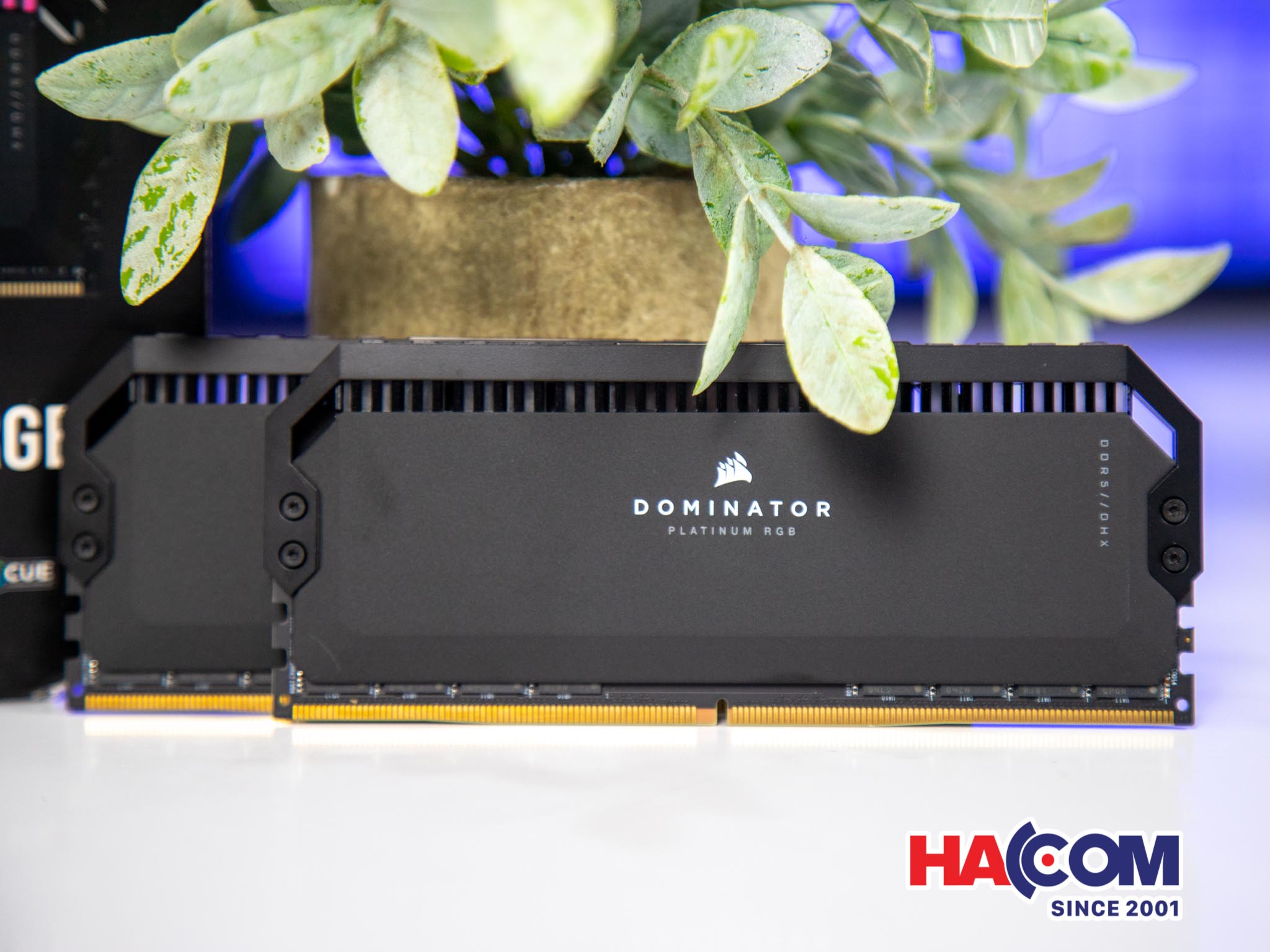 Ram Desktop Corsair DOMINATOR PLATINUM RGB Black (CMT64GX5M2B5200C40) 64GB (2x32GB) DDR5 5200MHz - C - Hình 3