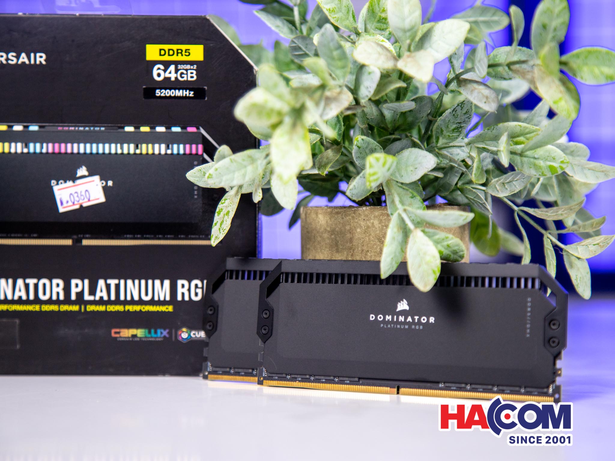 92309_corsair_vengeance_dominator_platinum_rgb_black___5_.jpg 13