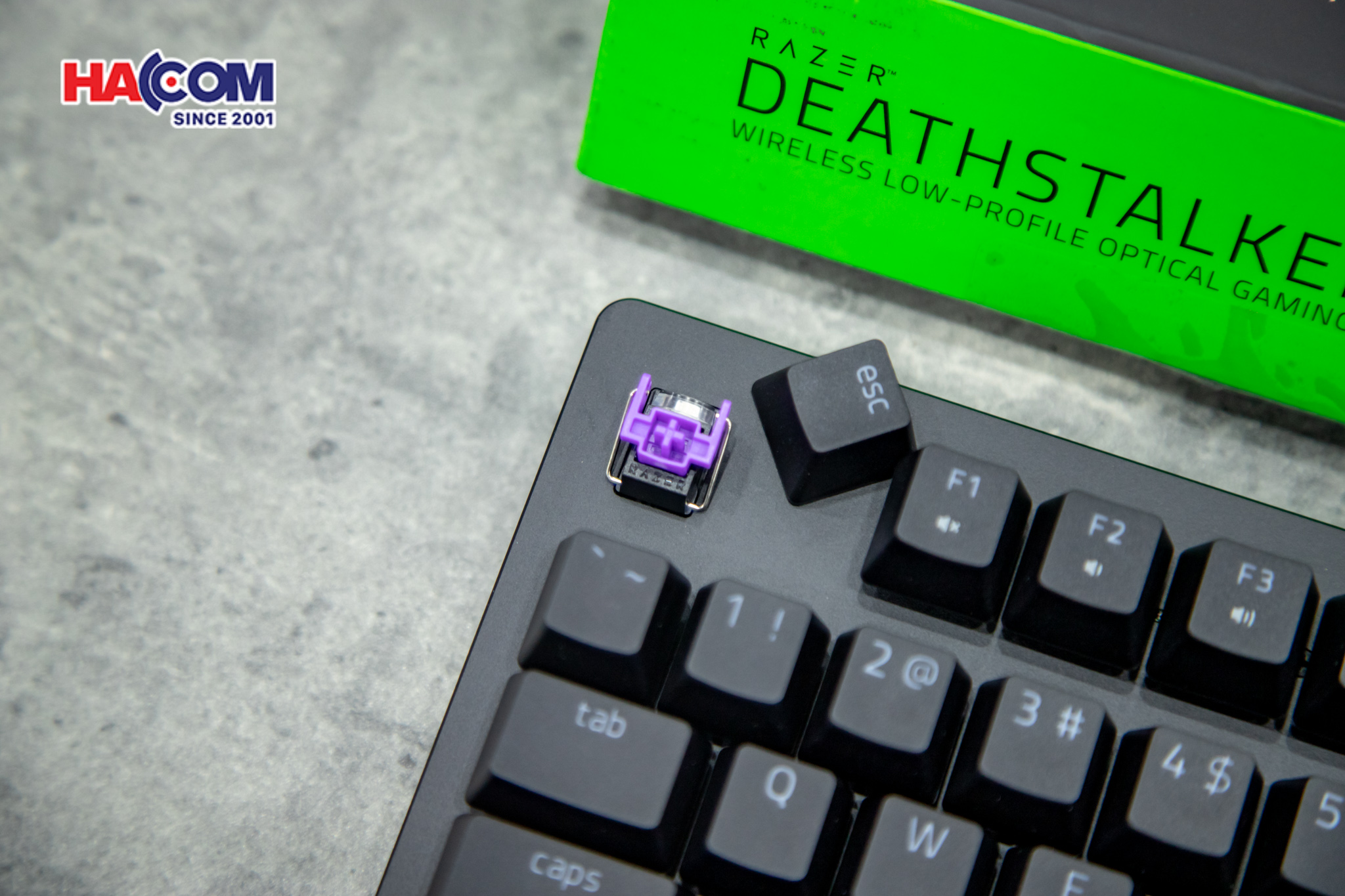 93089_ban_phim_game_khong_day_razer_deathstalker_v2_pro_tenkeyless_low_profile_optical_rgb_usb_linear_red_sw_rz03_04370100_r3m1_07.JPG 12