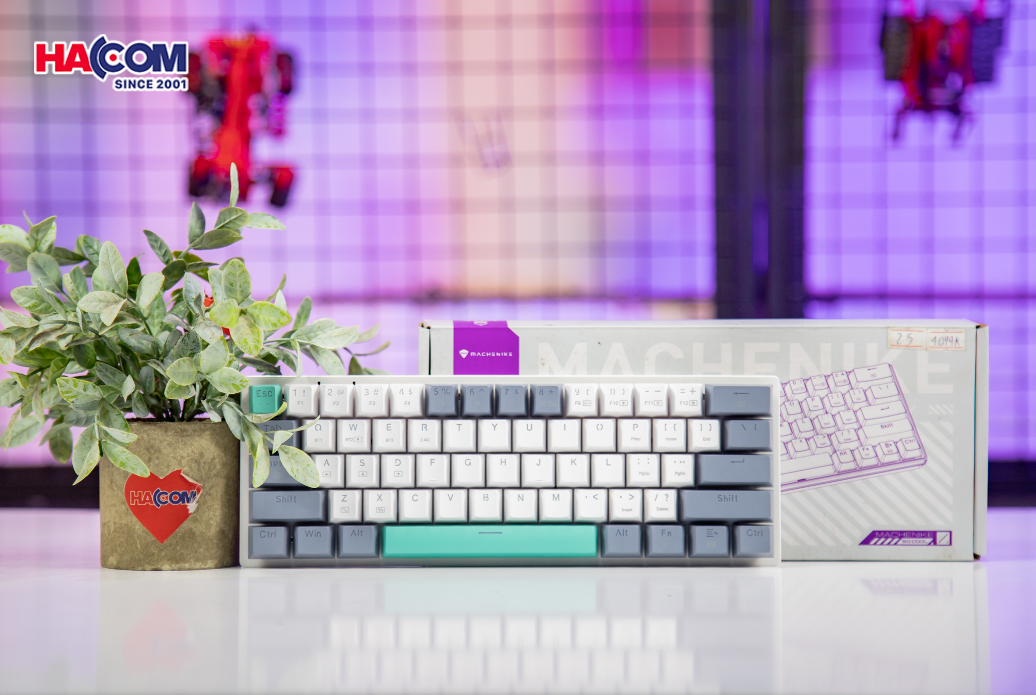 Bàn Phím Cơ Machenike K500-B61 Wireless White Grey Red Switch Led RGB (Có dây/2.4G Wireless/Bluetoot - Hình 5