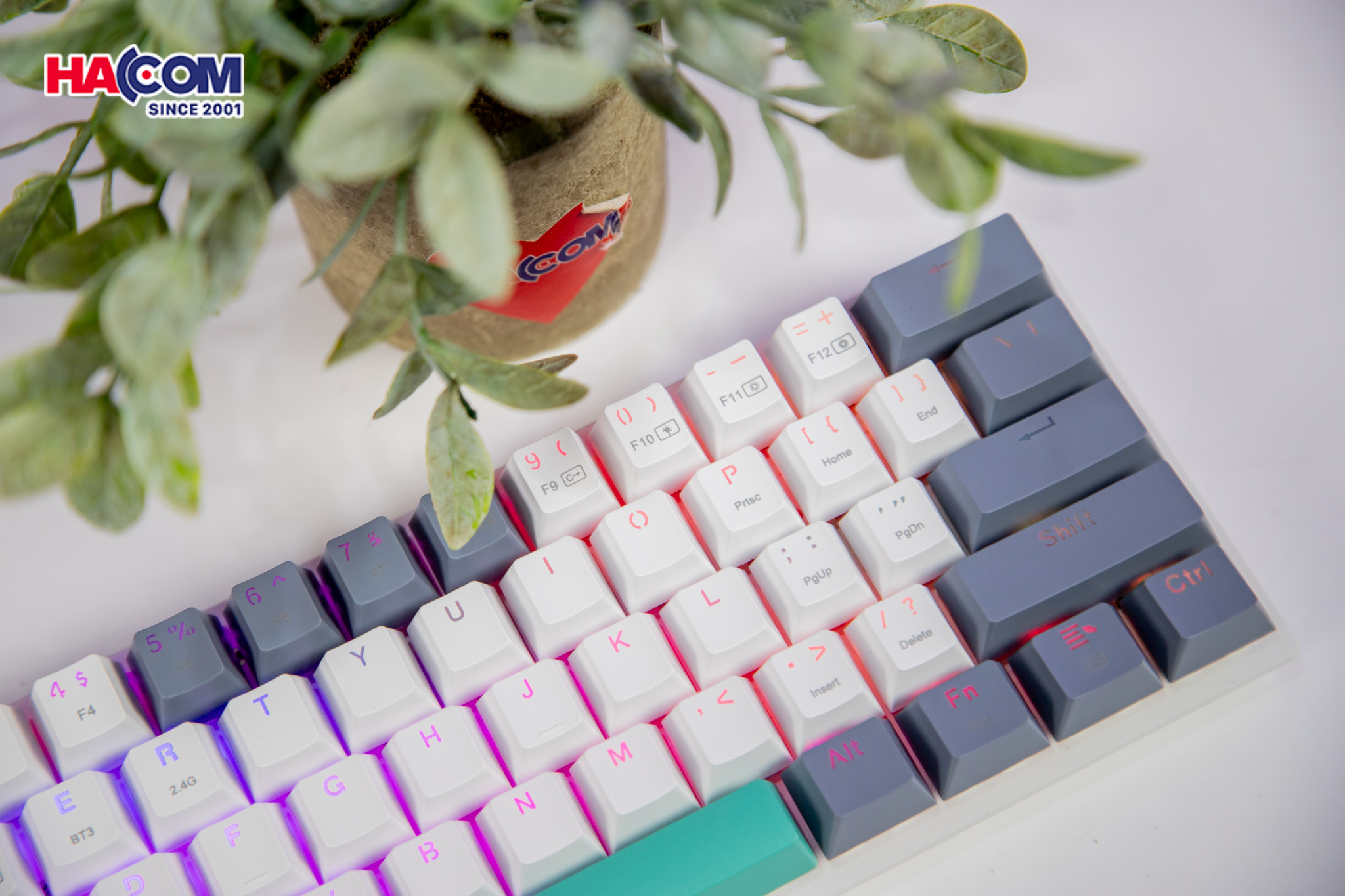 Bàn Phím Cơ Machenike K500-B61 Wireless White Grey Red Switch Led RGB (Có dây/2.4G Wireless/Bluetoot - Hình 7
