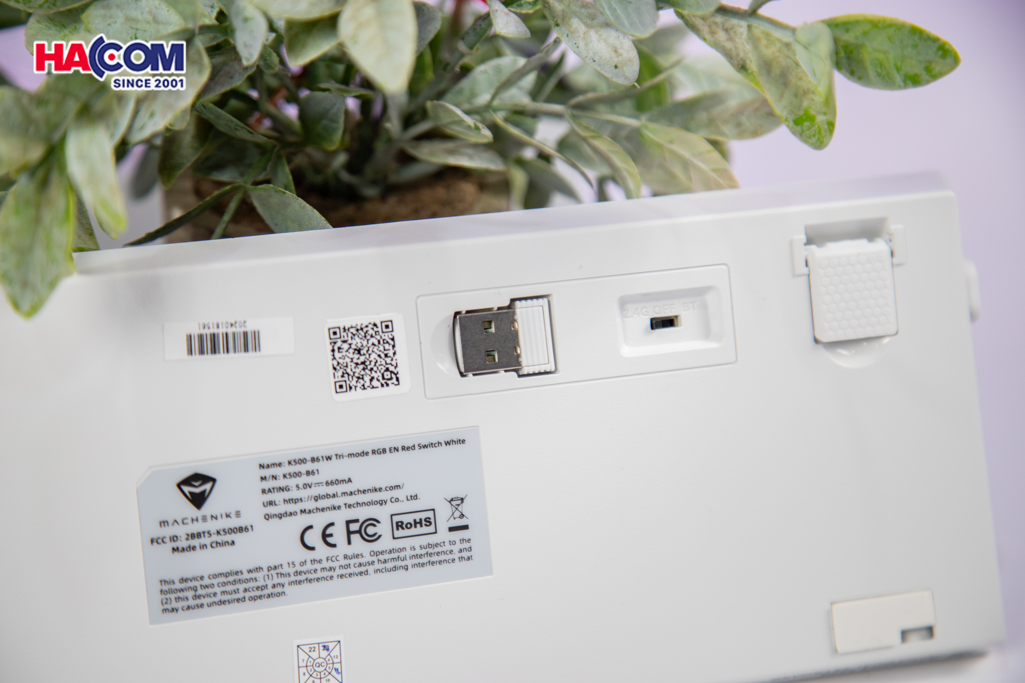 Bàn Phím Cơ Machenike K500-B61 Wireless White Grey Red Switch Led RGB (Có dây/2.4G Wireless/Bluetoot - Hình 10
